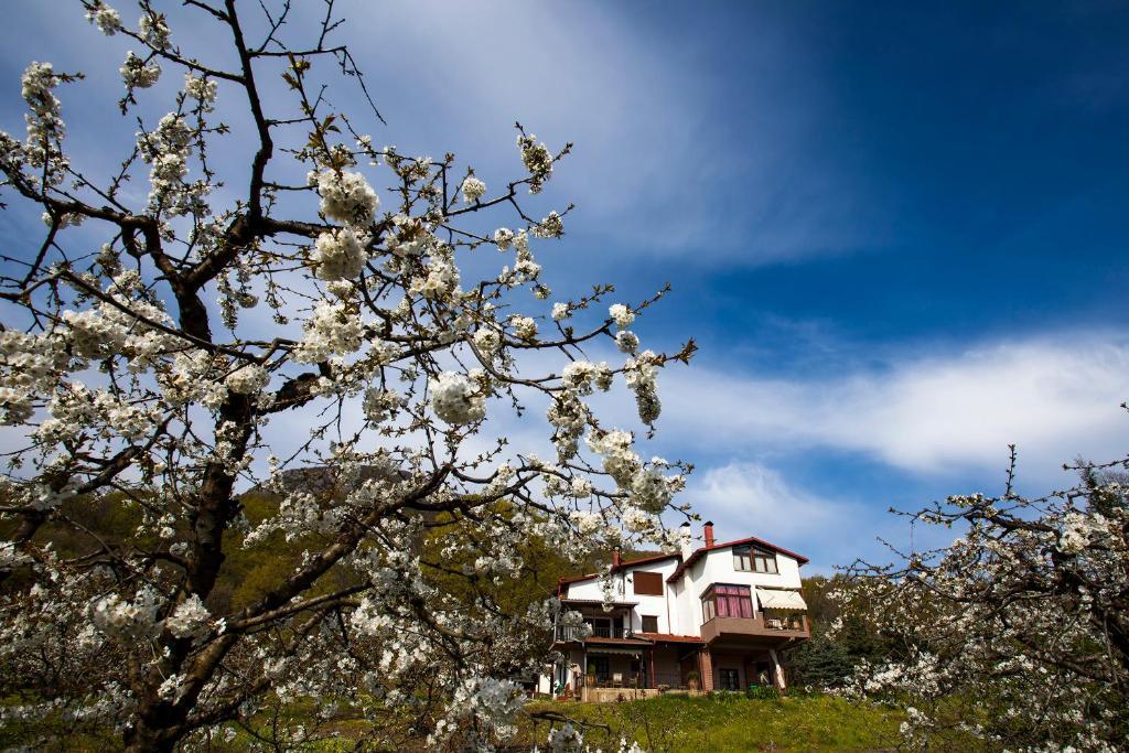 Militsa Guesthouse Naousa  Екстериор снимка